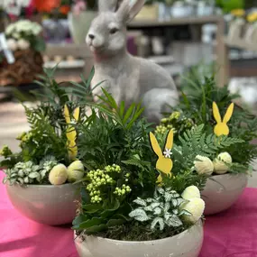 Bild von Gartencenter Spiering Wesel