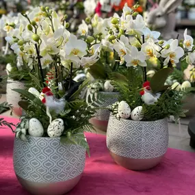Bild von Gartencenter Spiering Wesel