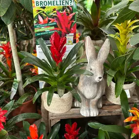 Bild von Gartencenter Spiering Wesel