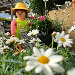 Bild von Gartencenter Spiering Wesel