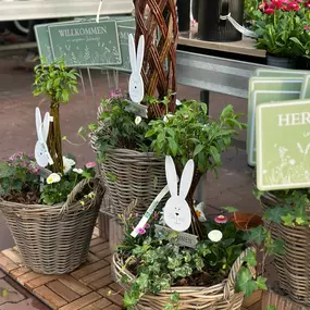 Bild von Gartencenter Spiering Wesel
