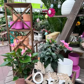 Bild von Gartencenter Spiering Wesel