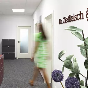 Bild von Dr. Zielfleisch & Partner mbB Wirtschaftsprüfungsgesellschaft Steuerberatungsgesellschaft