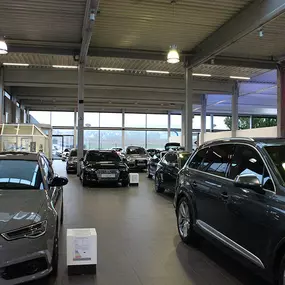 Bild von AVG Rosier GmbH Menden (Audi/VW)