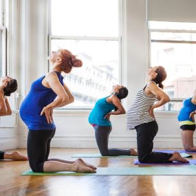Bild von YoFit - Das Zentrum für Yoga und Fitness
