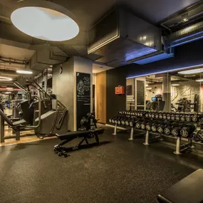 Fitness First Frankfurt Eschenheimer Turm - Freihantel