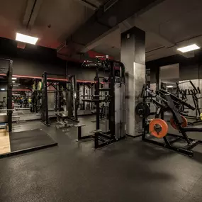 Fitness First Köln Bayenthal - Squat Racks