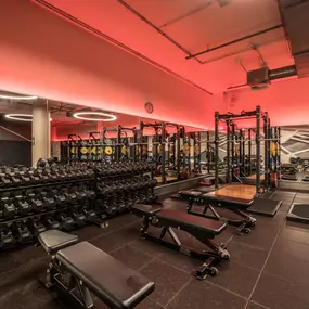 Fitness First Frankfurt Opernplatz - Squat Racks
