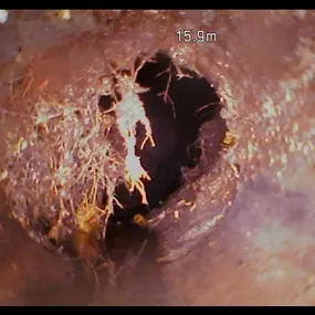 Bild von Böhme Thomas Kanal + Sanitär