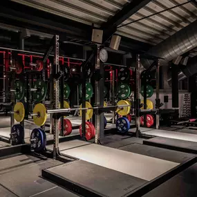 Fitness First Kaiserslautern - Squat Racks