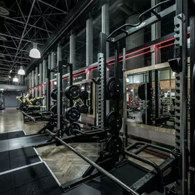 Fitness First Freiburg - Squat Racks