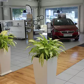 Bild von Rosier Automobile GmbH Meschede (PEUGEOT)
