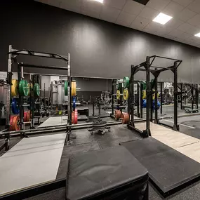 Fitness First Darmstadt - Squat Racks