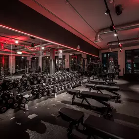 Fitness First Düsseldorf im Lighthouse - Freihantelbereich