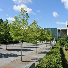 Bild von Landesbetrieb Krematorium Berlin