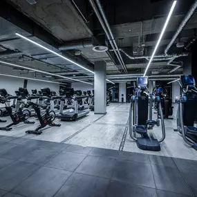 Fitness First Mannheim im Quartier - Cardiotraining