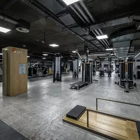 Fitness First Mannheim im Quartier - Trainingsbereich