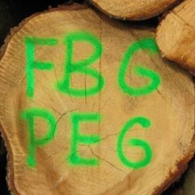 Bild von Forstbetriebsgemeinschaft Pegnitz e.V.