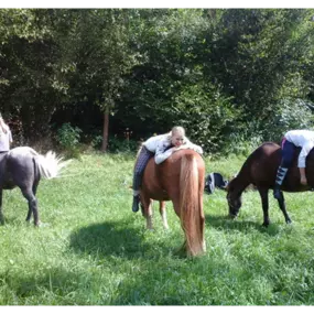 Bild von Reitschule am Samainhof Ursusla Wohlfahrt