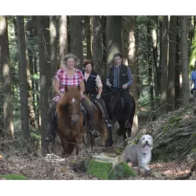 Bild von Reitschule am Samainhof Ursusla Wohlfahrt