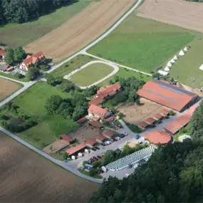 Bild von Reitschule am Samainhof Ursusla Wohlfahrt