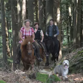 Bild von Reitschule am Samainhof Ursusla Wohlfahrt