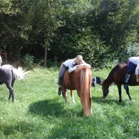 Bild von Reitschule am Samainhof Ursusla Wohlfahrt