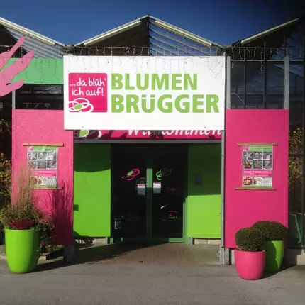 Logo von Blumen Brügger