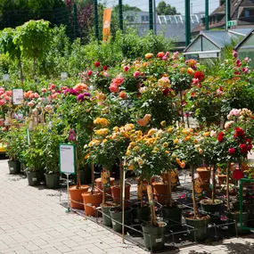 Bild von Garten-Center Kremer GmbH