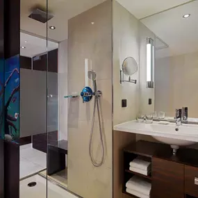 Guest Room bathroom