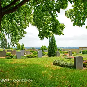 Bild von Bestattungen Brungsberg