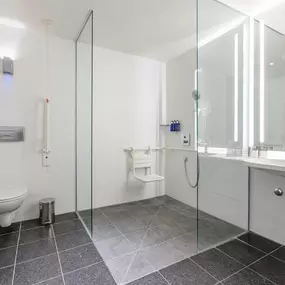 Accessible Room Bathroom