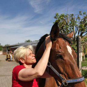 Bild von Pferdetherapeut Pferd-entspann-Dich Claudia Gansohr-Kratz, M.A.
