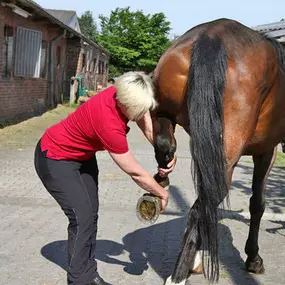 Bild von Pferdetherapeut Pferd-entspann-Dich Claudia Gansohr-Kratz, M.A.