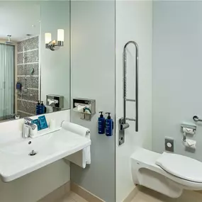 Accessible Bathroom