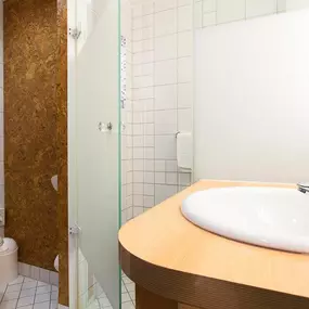 Guest room bathroom