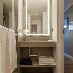 Guest room bathroom