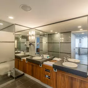 Executive Suite bathroom