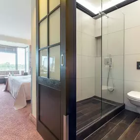 Standard Room bathroom