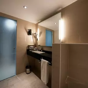 Family Room Bathroom