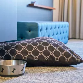 Dog bed and bowl