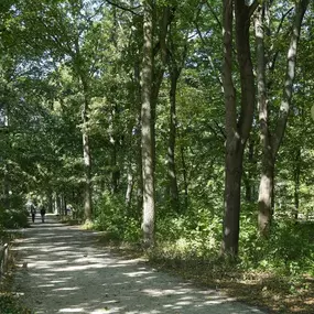 Berlin Tiergarten