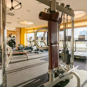 Fitness