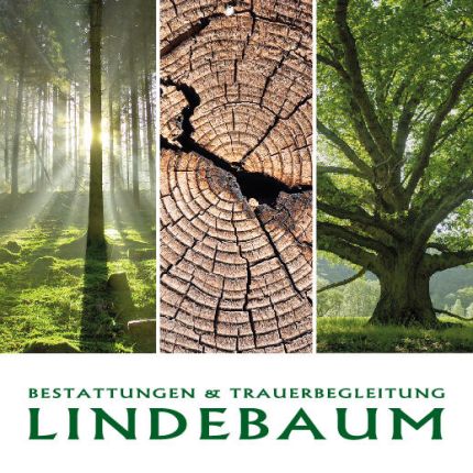Logo od Bestattungen & Trauerbegleitung Lindebaum
