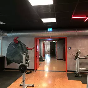 Bild von McFIT Fitnessstudio Leipzig-Zentrum Südost