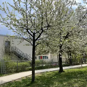 Fröbel-Kindergarten Sausewind, Potsdam Zentrum Ost, © Fröbel e.V., Alle Rechte vorbehalten