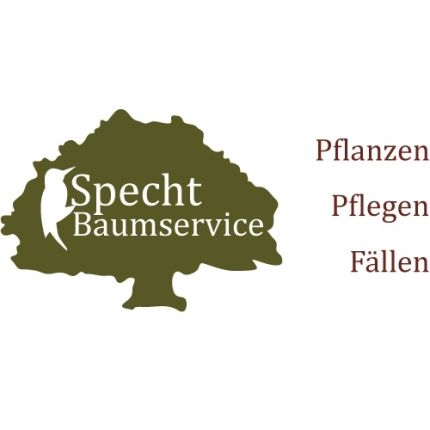Logotyp från Specht Baumservice