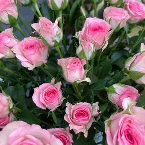 Bild von Greizer Vogtlandblumen GmbH