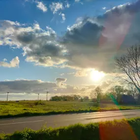 Foto von der Natur mit Sonne