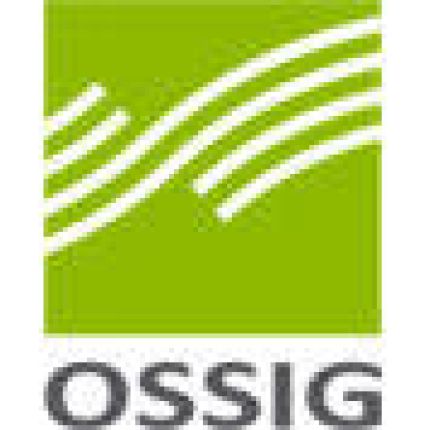 Logo from mbH Ossig Steuerberatungsgesellschaft